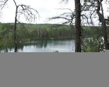 Liberty Lake in the Northern Ontario forest.
